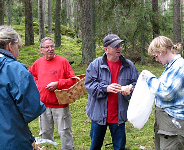 Magnus bestämmer svamp