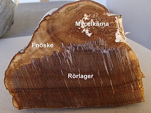 Tre olika slag av struktur