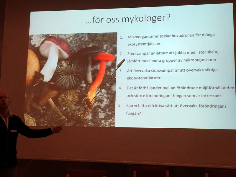 Hjalmar Croneborg sammanfattar svamparnas betydelse