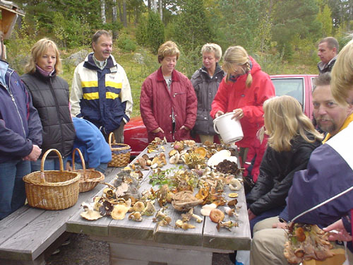 Ett härligt svampbord