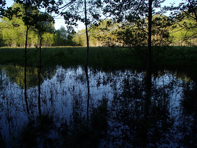 Ängelska kanalen