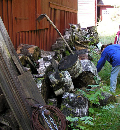 Vedsvampar på  gamla trädklampar