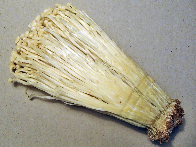 Enoki