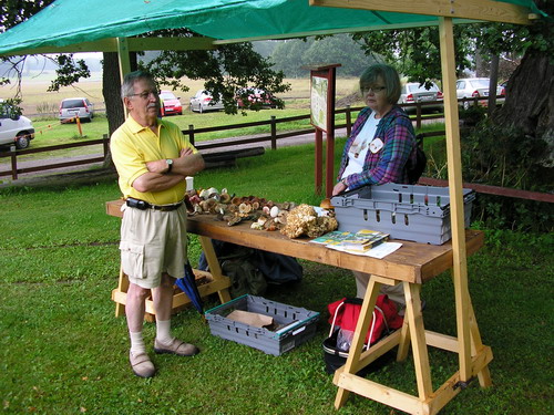 Olle Ståhl och Ulla Hodges