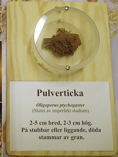 Lennarts pulverticka